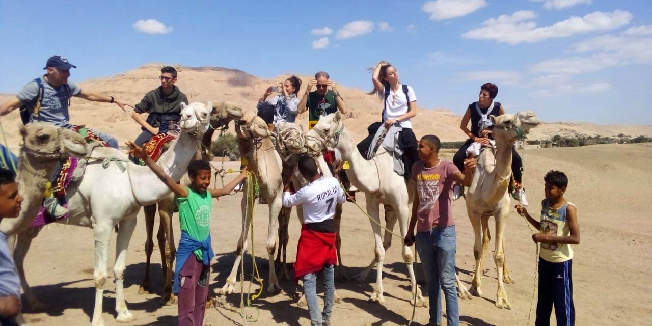 فرحة الأجانب خلال رحلات السفاري فرحة الأجانب خلال رحلات السفاري