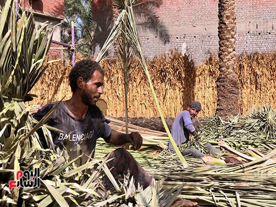 عمال اليومية