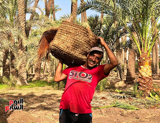 عمال اليومية في البدرشين