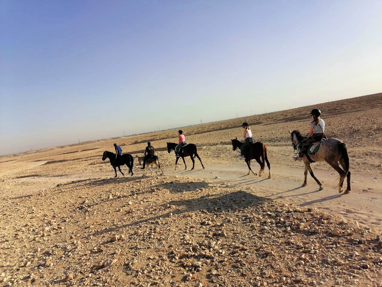 رحلات سفاري الخيول بالبر الغربي رحلات سفاري الخيول بالبر الغربي