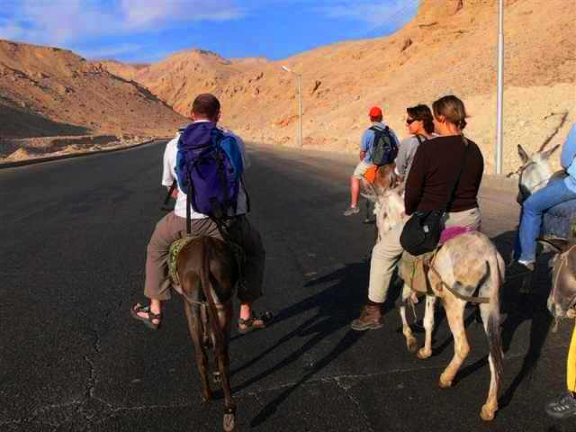 استمتاع السياح بسفارى الحمير غرباً استمتاع السياح بسفارى الحمير غرباً