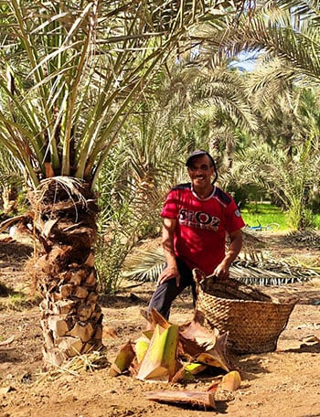 عمال اليومية في أراضي البدرشين