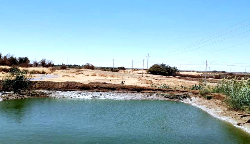 مزرعة اسماك المبروكة بمركز بلاط مزرعة اسماك المبروكة بمركز بلاط