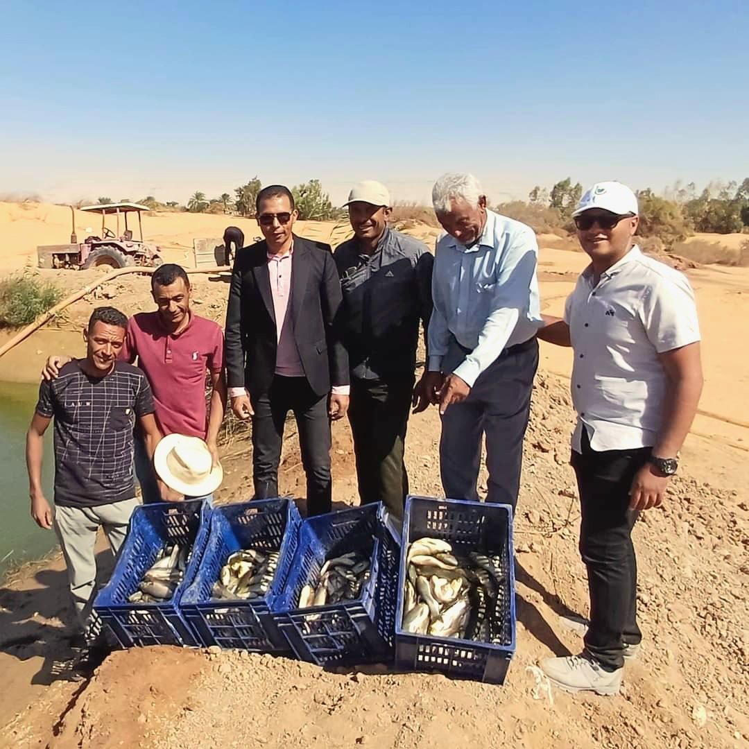 صيد عينة من اسماك المبروكة بالبشندى صيد عينة من اسماك المبروكة بالبشندى