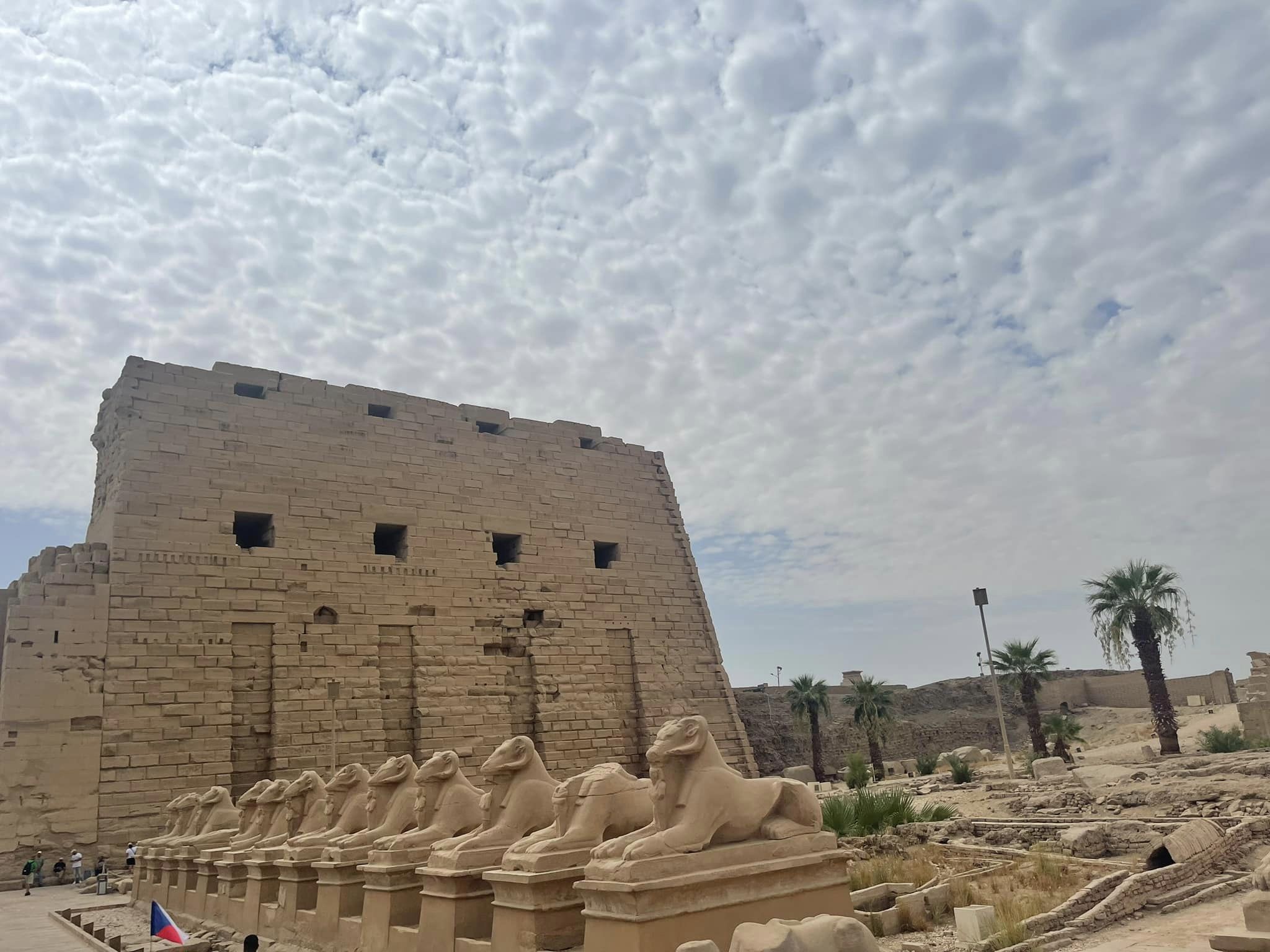 Rams at the entrance to the Karnak Temples in Luxor