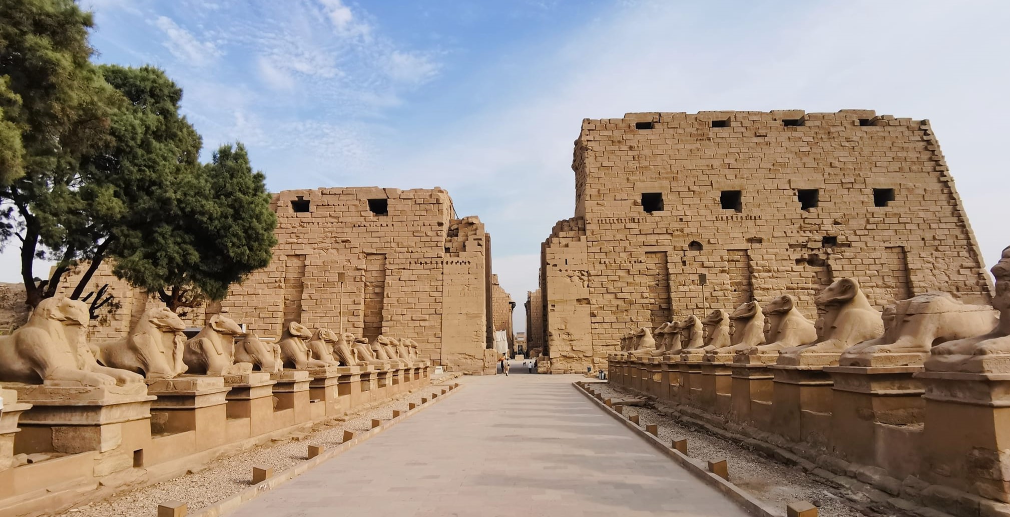 Rams at the heart of the entrance to the Karnak Temples