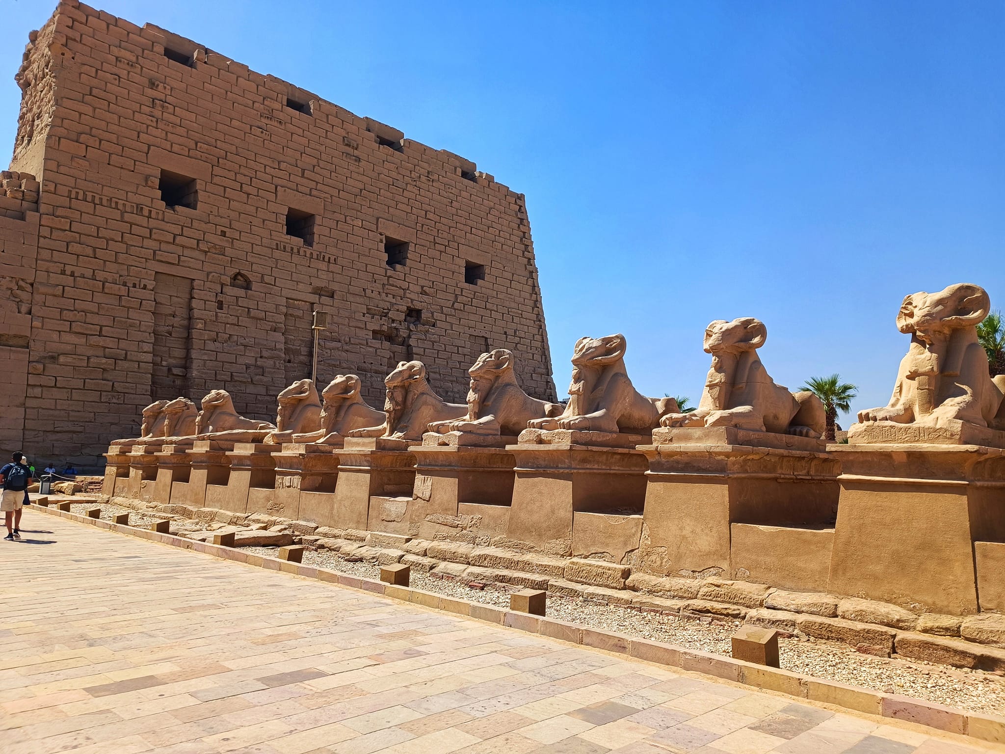 The rams of the Karnak temples are a special charm for tourists