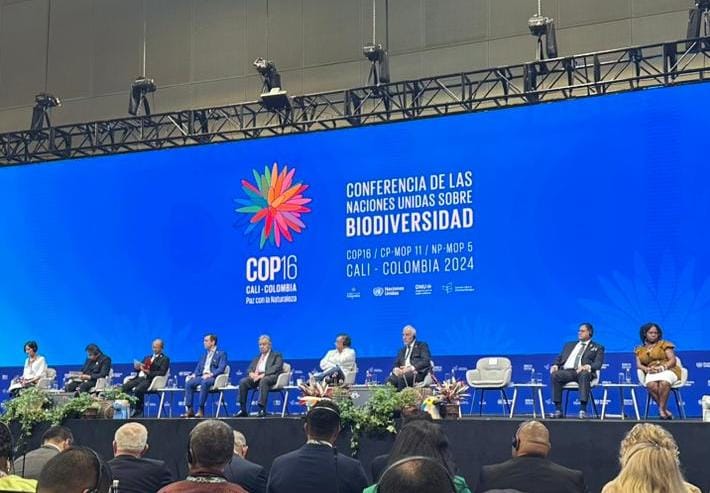 مؤتمر اتفاقية الأمم المتحدة للتنوع البيولوجي COP16