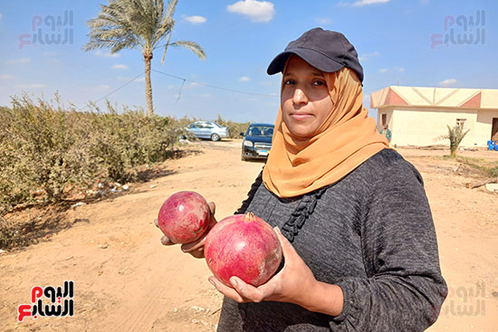 الأيادى-العاملة