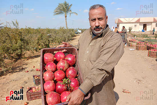 العم-ياسر-تاجر-رمان
