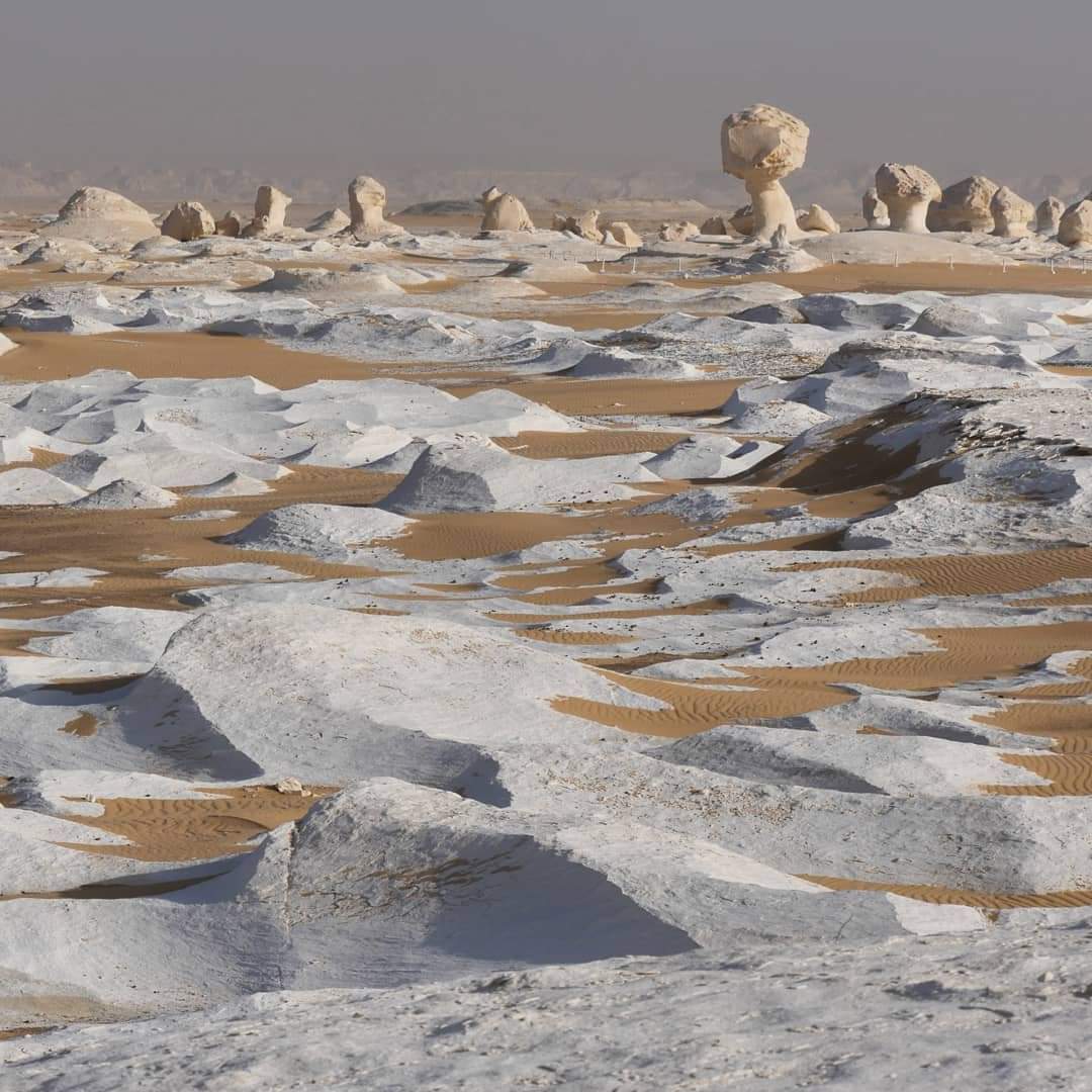 صخور العصر الطباشيري في الصحراء البيضاء