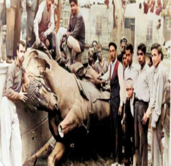 بعد إسقاط التمثال