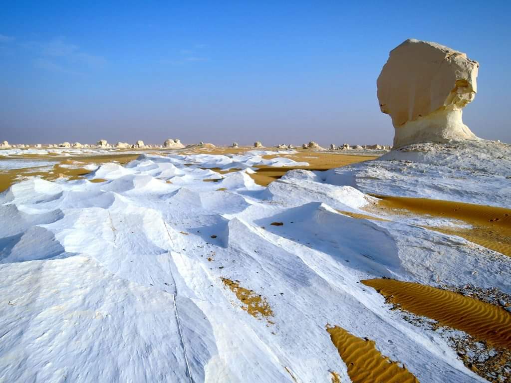 محمية الصحراء البيضاء بالفرافرة 