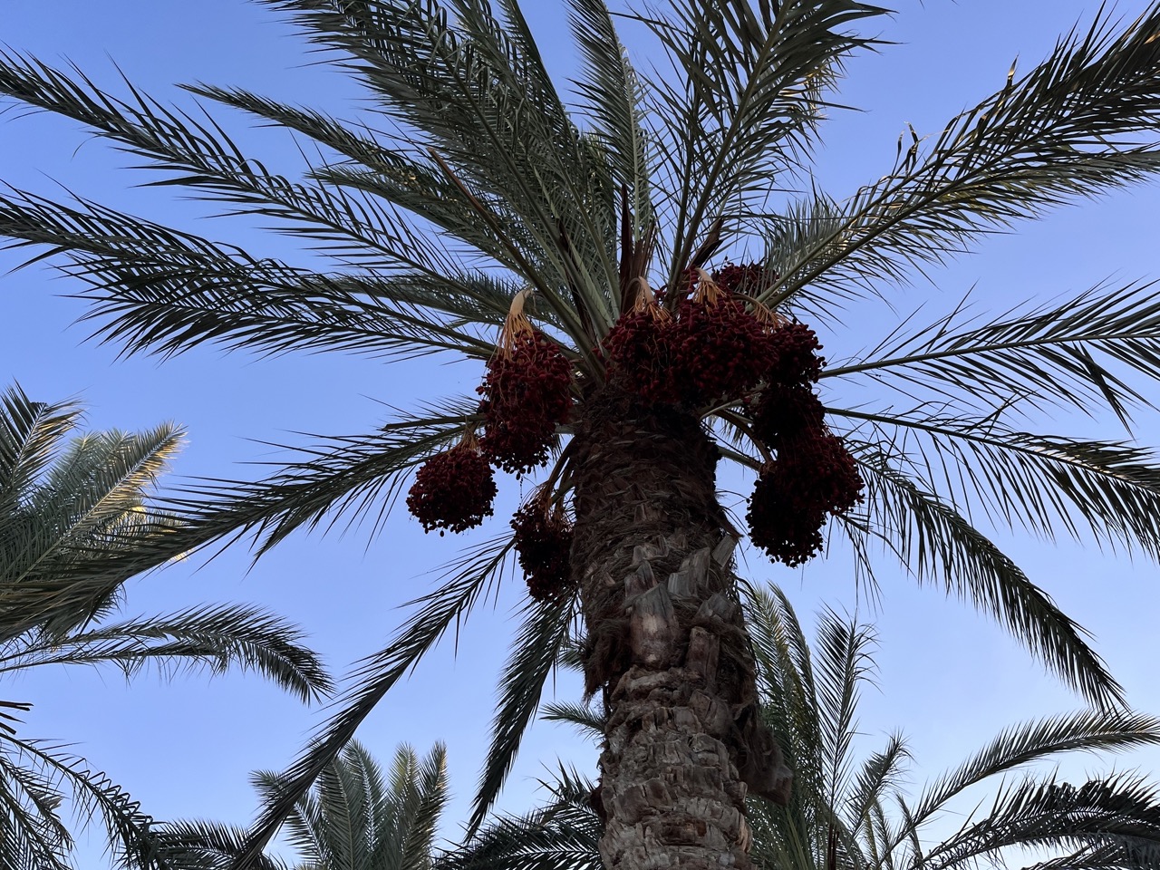 الأشياء الجيدة هذا العام الأشياء الجيدة هذا العام