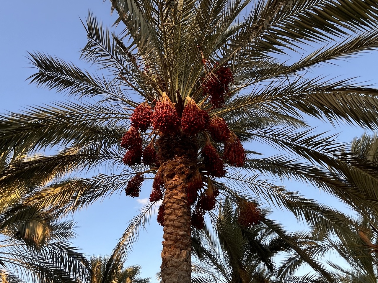 من مشاهد الإنتاج المميزة من مشاهد الإنتاج المميزة
