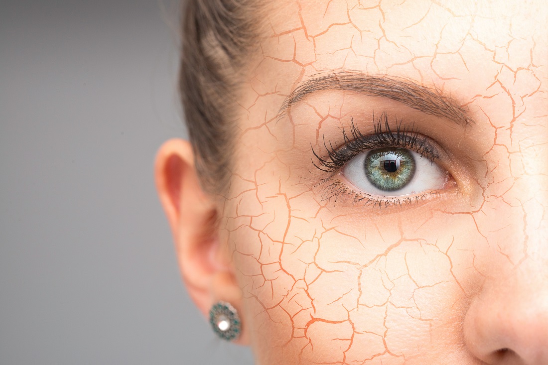 الشيخوخة الشيخوخة