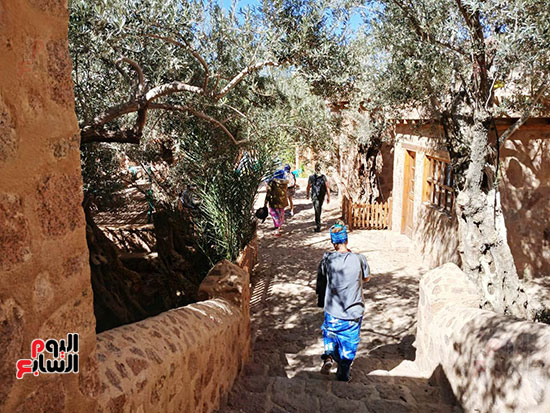حديقة-الدير حديقة-الدير