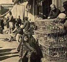 تجار الطيور في شارع الفرخة تجار الطيور في شارع الفرخة