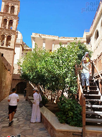 من-داخل-الدير من-داخل-الدير