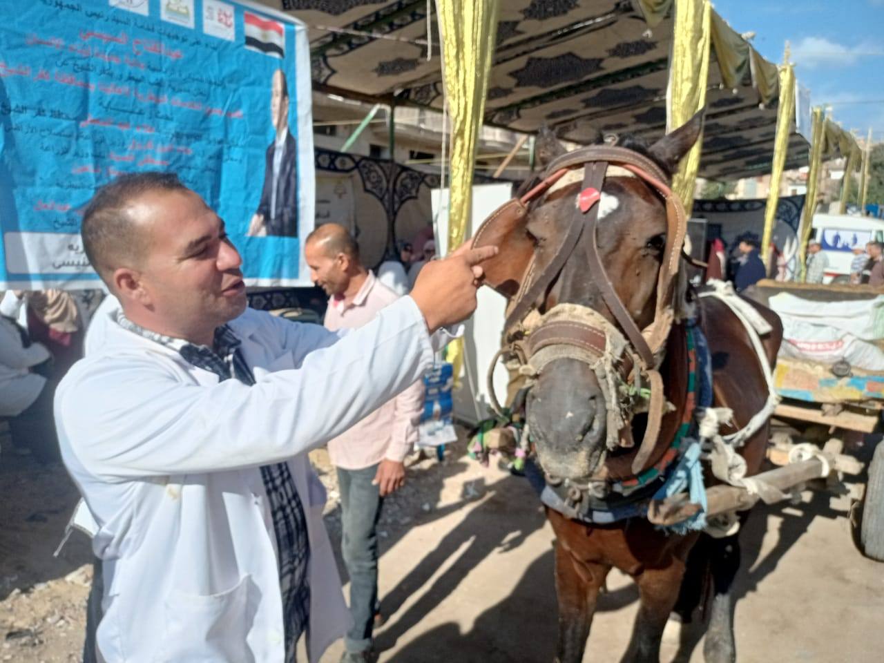 اجراء الكشف البيطري على أحد الخيول