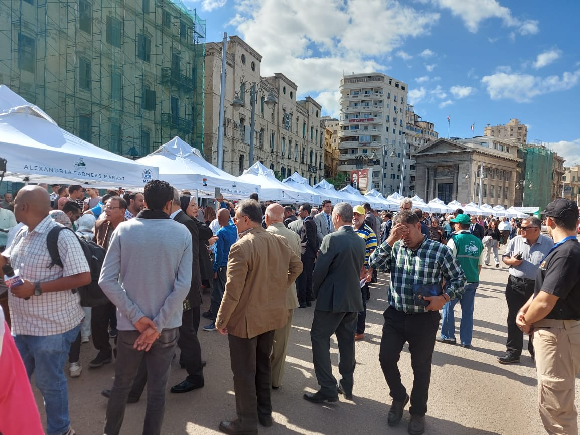 10 معلومات عن سوق اليوم الواحد للمزارعيين.. تجربة رائدة انطلقت من  الإسكندرية.. صور - اليوم السابع