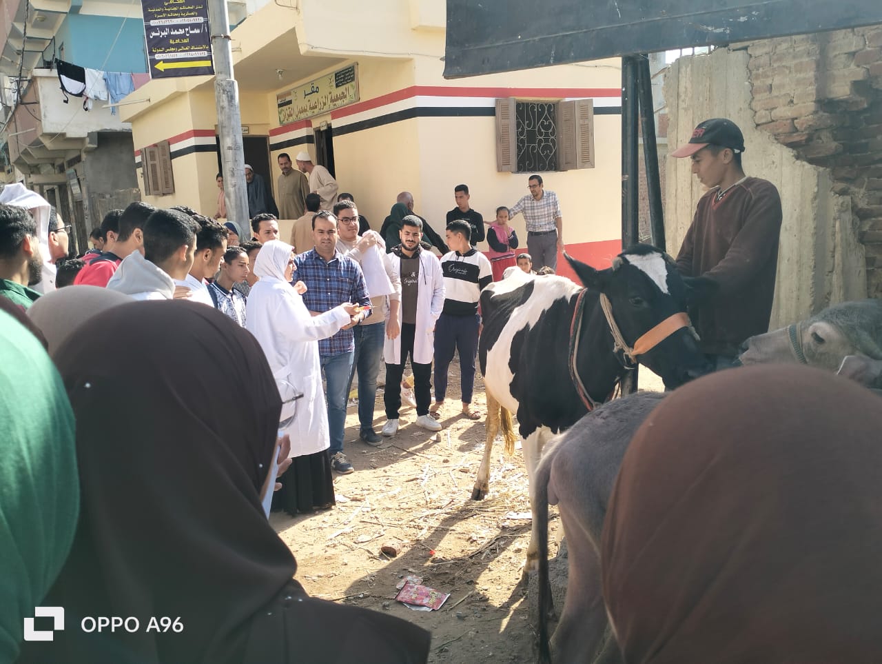     مشاركة جامعة دمنهور في مبادرة بداية (5)