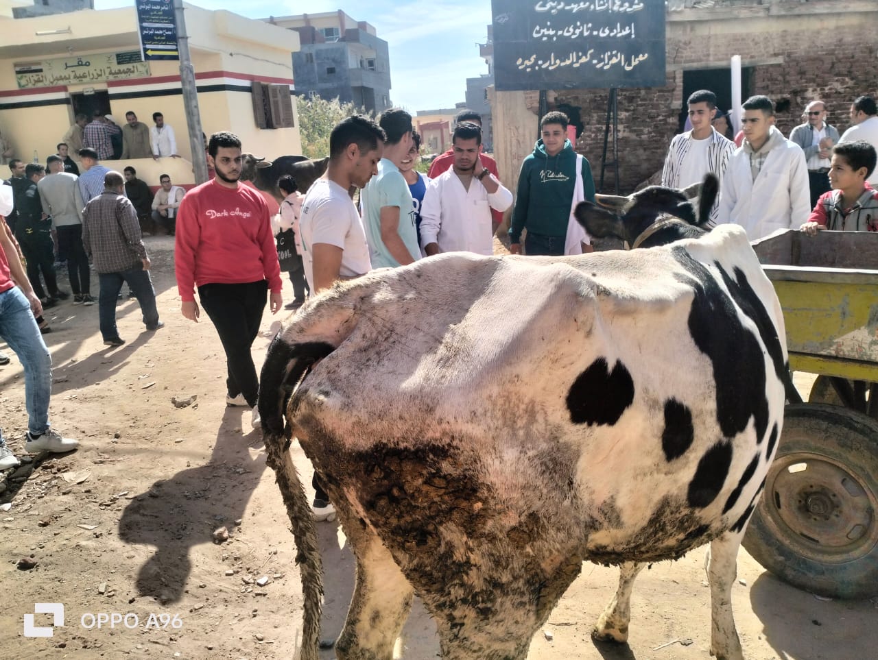     مشاركة جامعة دمنهور في مبادرة بداية (7)