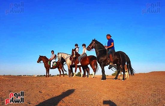 متعة-الأفواج-السياحية-بالسفاري-الجبلي-بالأقصر