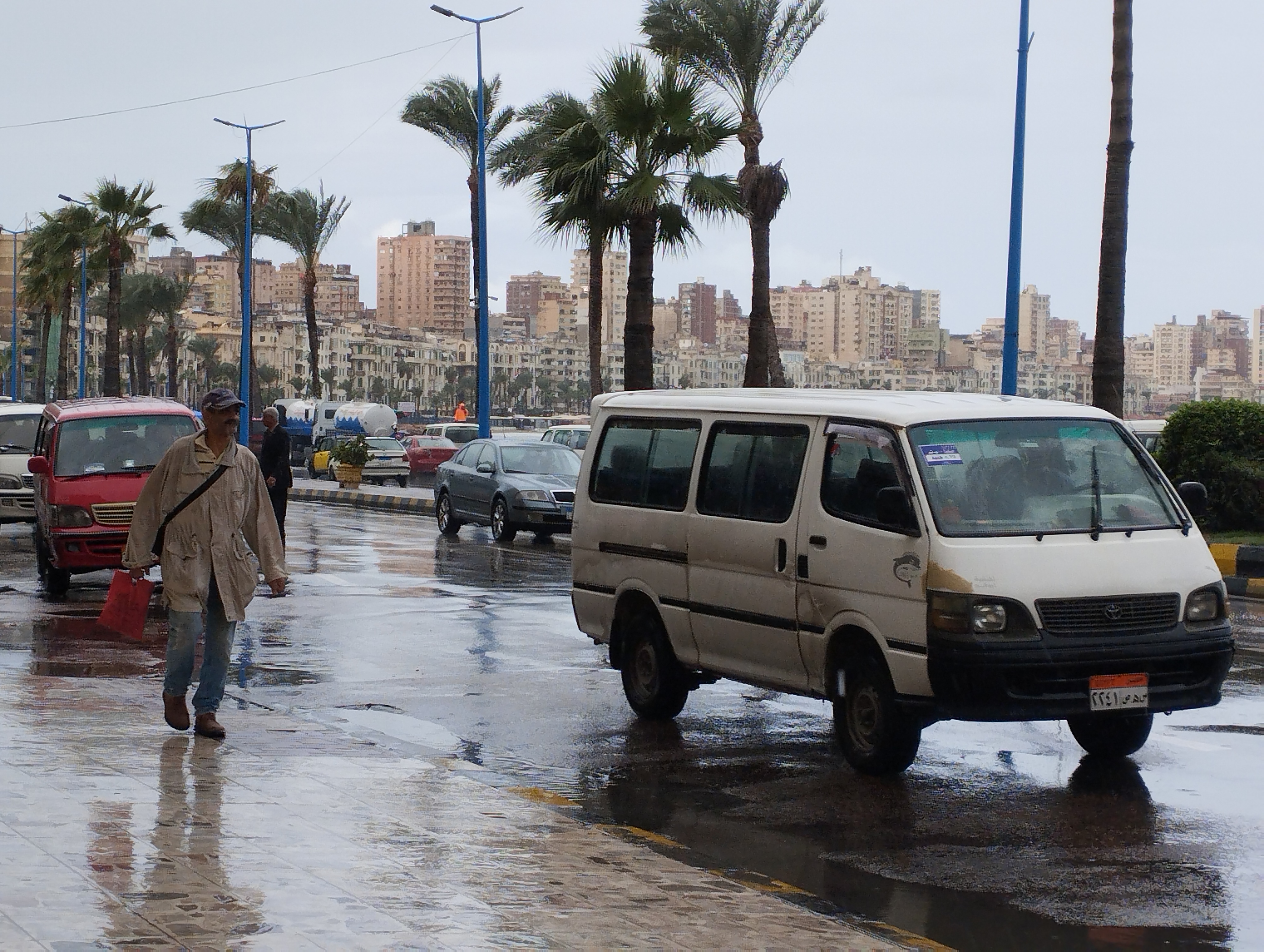 أمطار شجرة المكنسة بالإسكندرية أمطار شجرة المكنسة بالإسكندرية