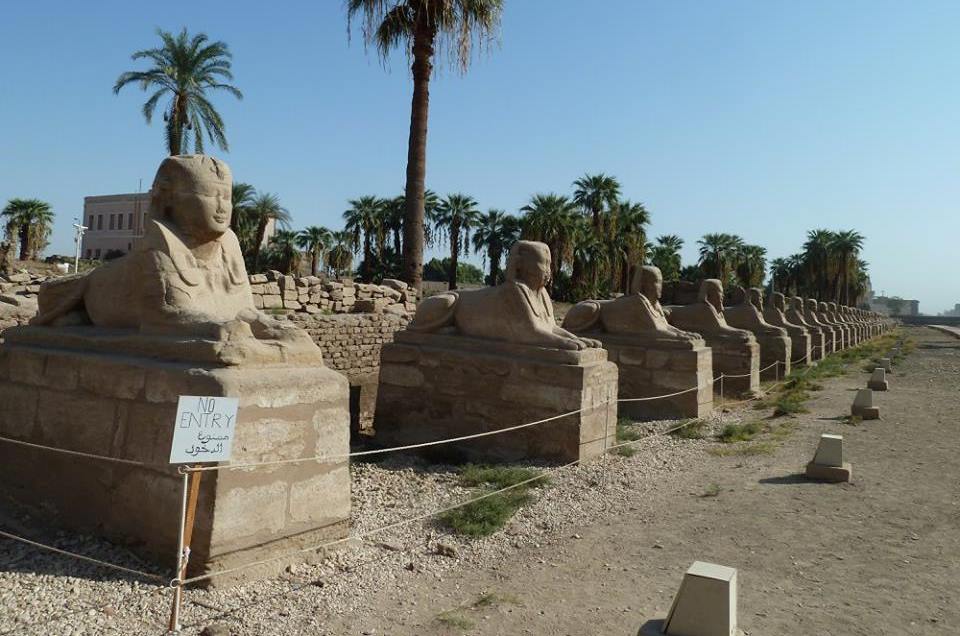 طريق الكباش قبل ترميمه وتطويرها بالأقصر طريق الكباش قبل ترميمه وتطويرها بالأقصر