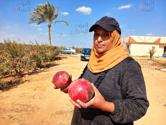 الايادى-العاملة