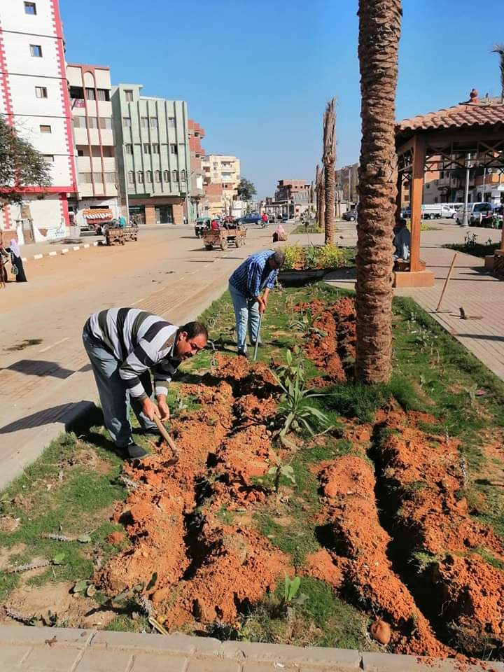 الزراعات بأعمال التطوير 