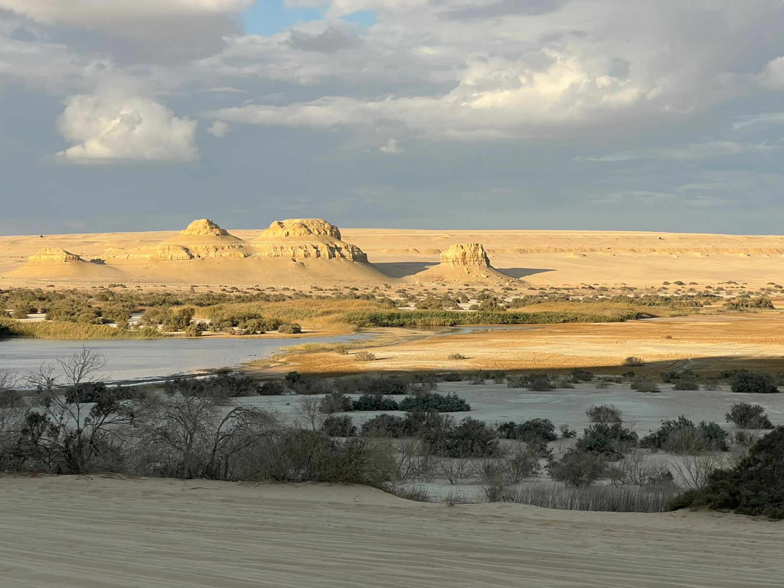 وادى الريان