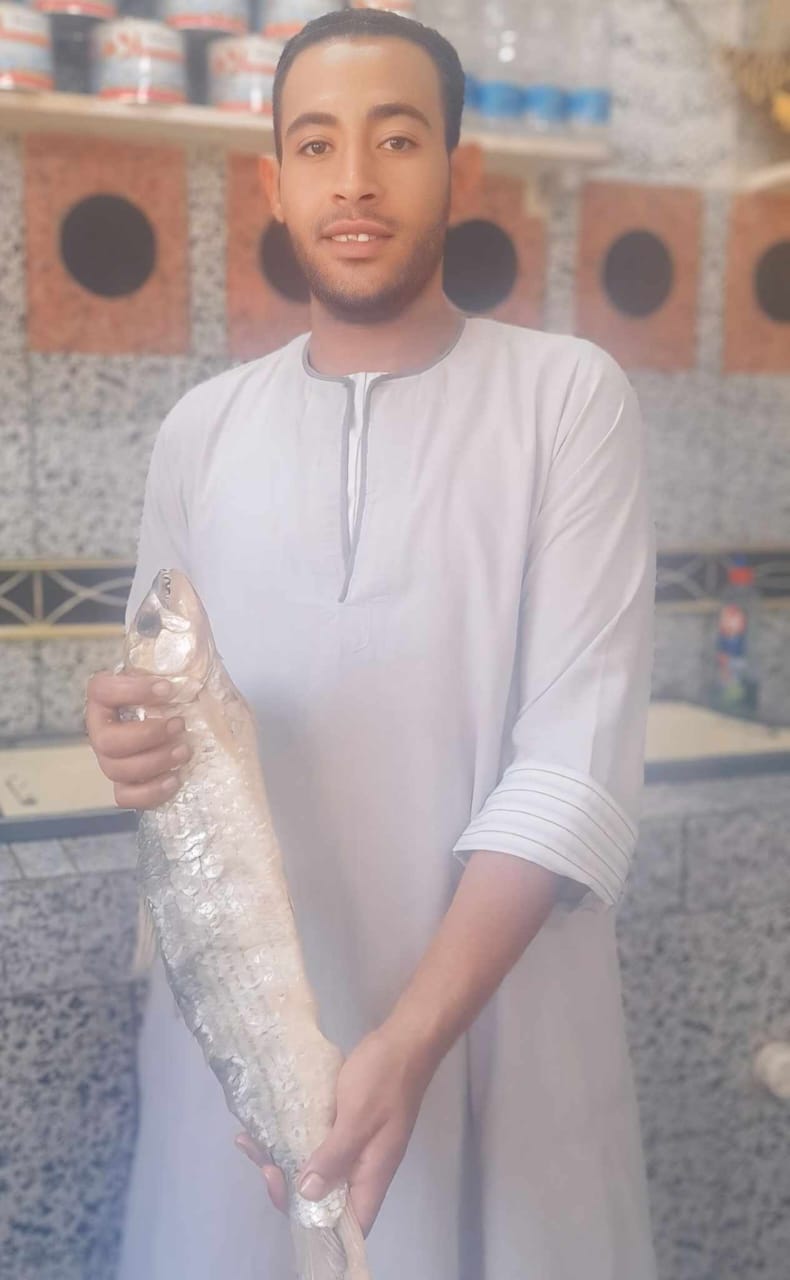 بائع فسيخ بقنا بائع فسيخ بقنا