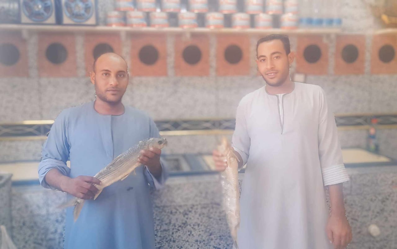 بائعان للفسيخ بقنا بائعان للفسيخ بقنا