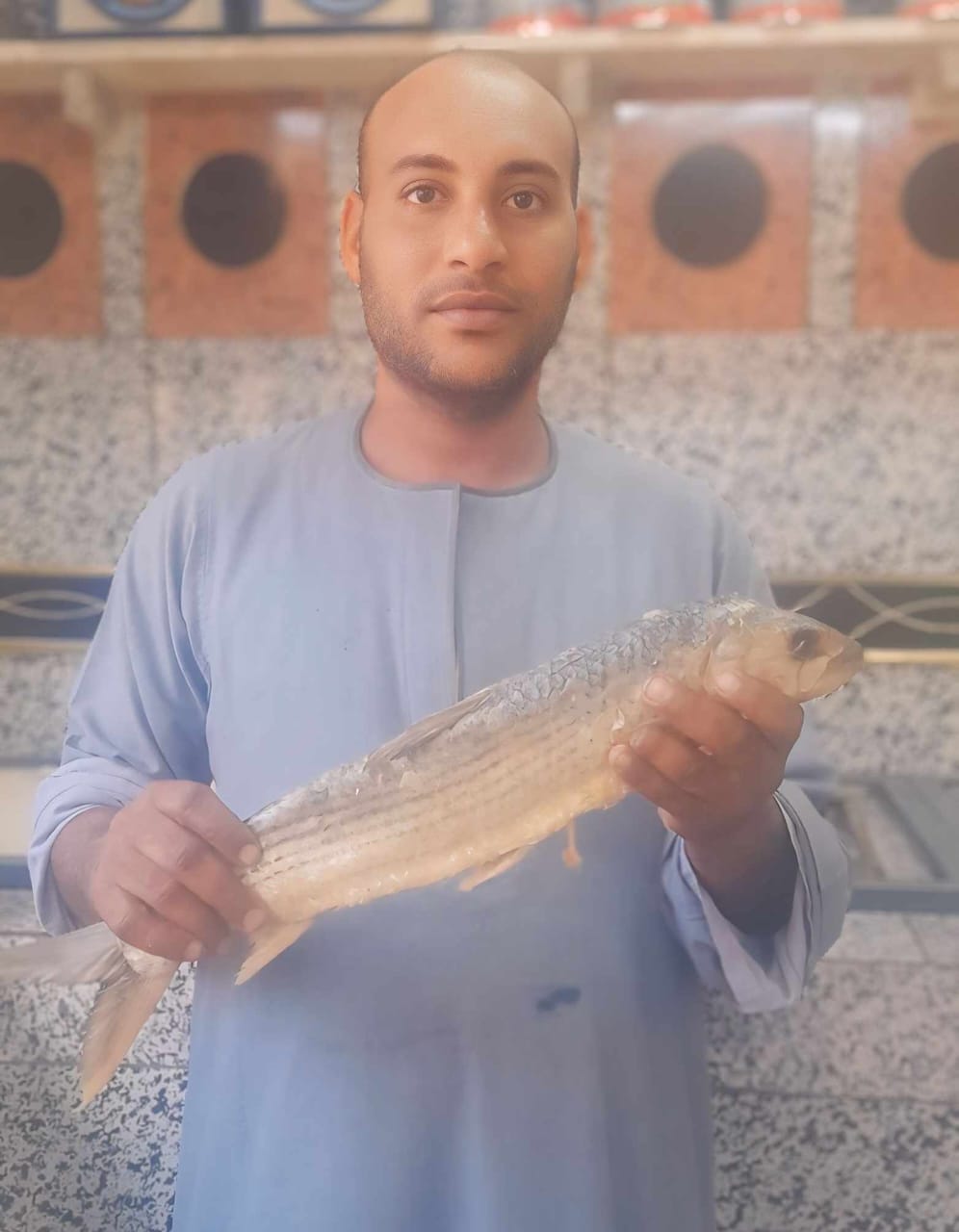 شحات بائع الفسيخ بقنا شحات بائع الفسيخ بقنا