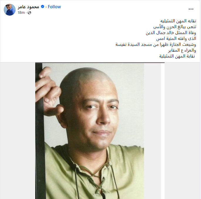 محمود عامر ينشر بيان نقابة الممثلين