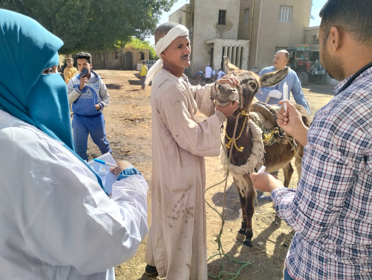 فحص الحيوانات خلال القافلة البيطرية بالطود