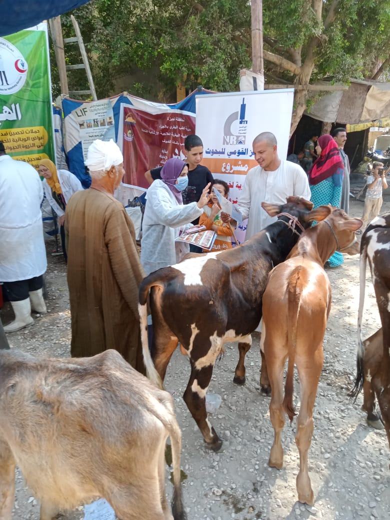 قوافل الطب البيطري بالجيزة