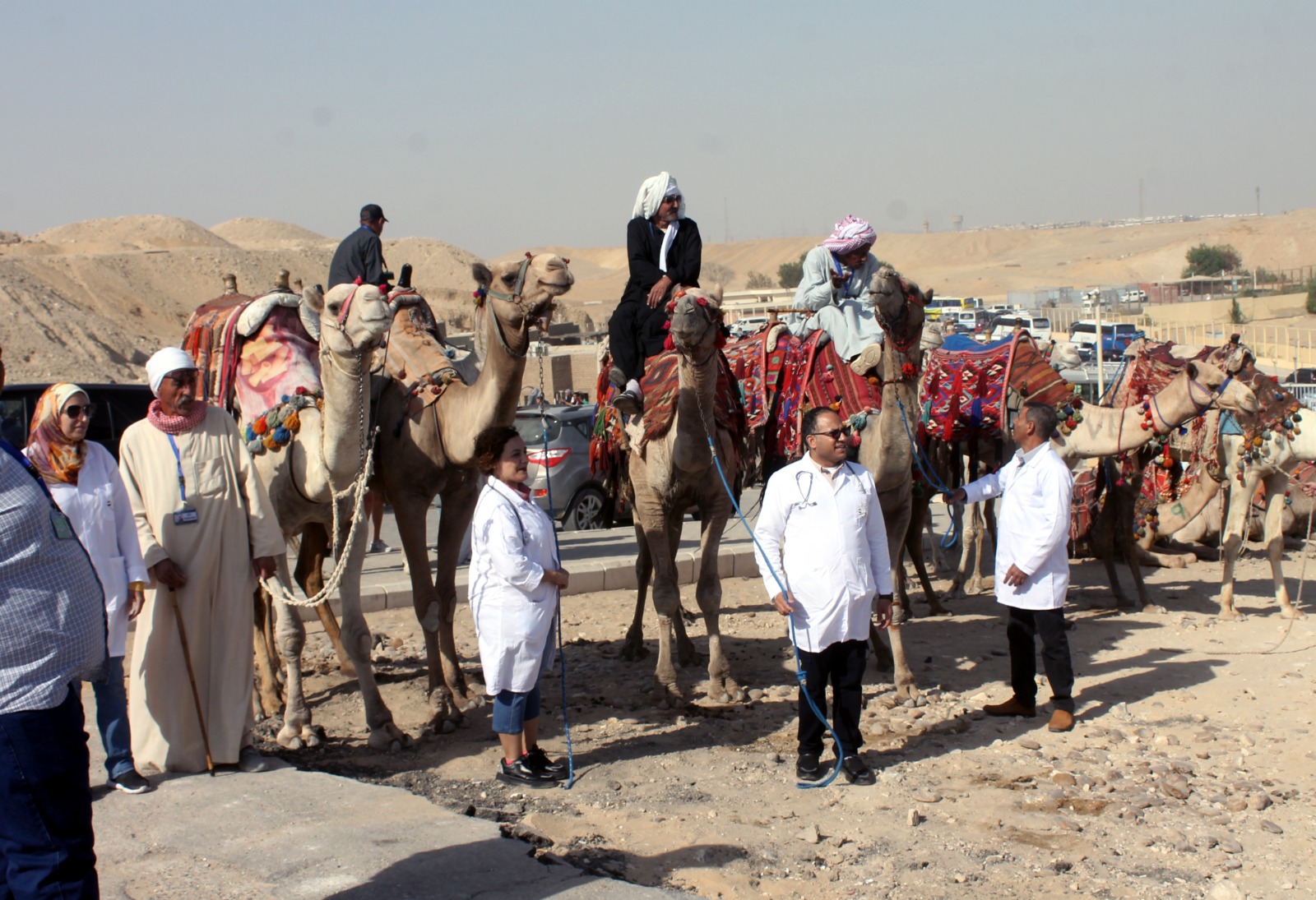 قوافل بيطرية مجانية للطب البيطري بالجيزة