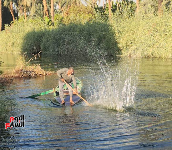 عم-سراج-صياد-السمك-منذ-الطفولة-خلال-جمع-السمك-بالشبكة عم-سراج-صياد-السمك-منذ-الطفولة-خلال-جمع-السمك-بالشبكة