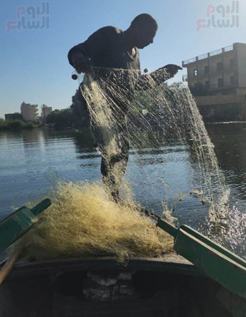 السمك-منور-شبكة-عم-سراج-فى-نيل-الأقصر السمك-منور-شبكة-عم-سراج-فى-نيل-الأقصر