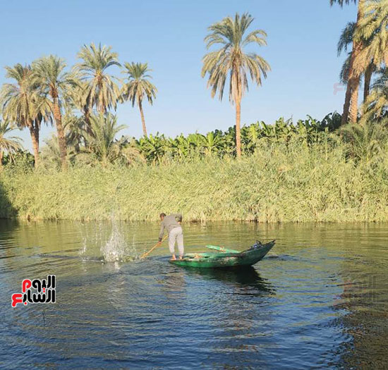 جولة-عم-سراح-بالسبنك-فى-نيل-الأقصر جولة-عم-سراح-بالسبنك-فى-نيل-الأقصر