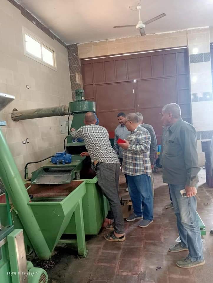 العمل المنتظم لإنتاج زيت الزيتون عالي الجودة العمل المنتظم لإنتاج زيت الزيتون عالي الجودة