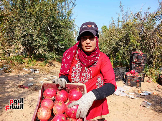 طريقة الفرز