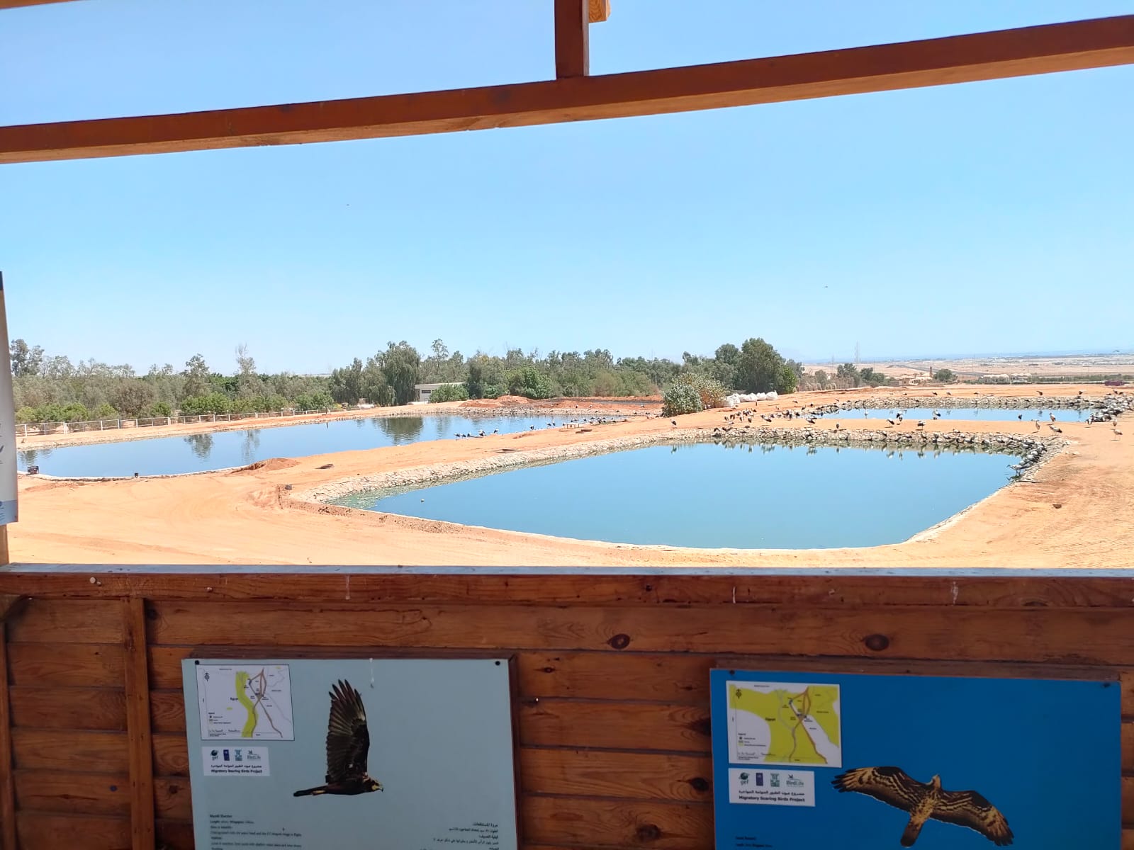 أحواض بحيرات الطيور