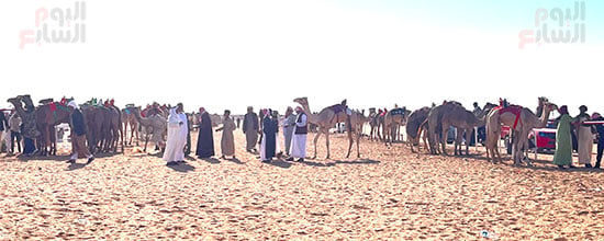 التواجد في الميدان