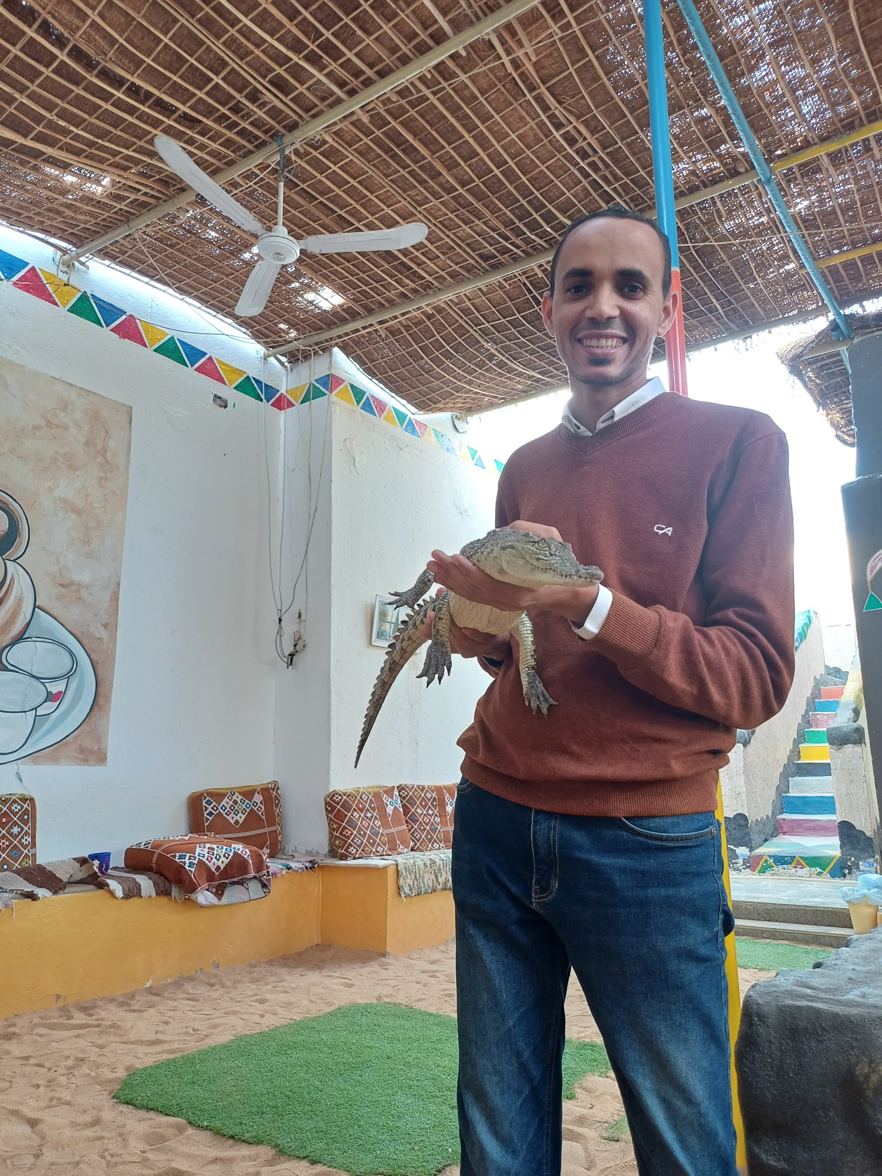 التصوير مع التماسيح التصوير مع التماسيح
