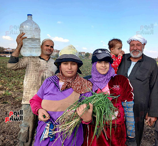 عمال اليومية مع مالك الأرض عمال اليومية مع مالك الأرض