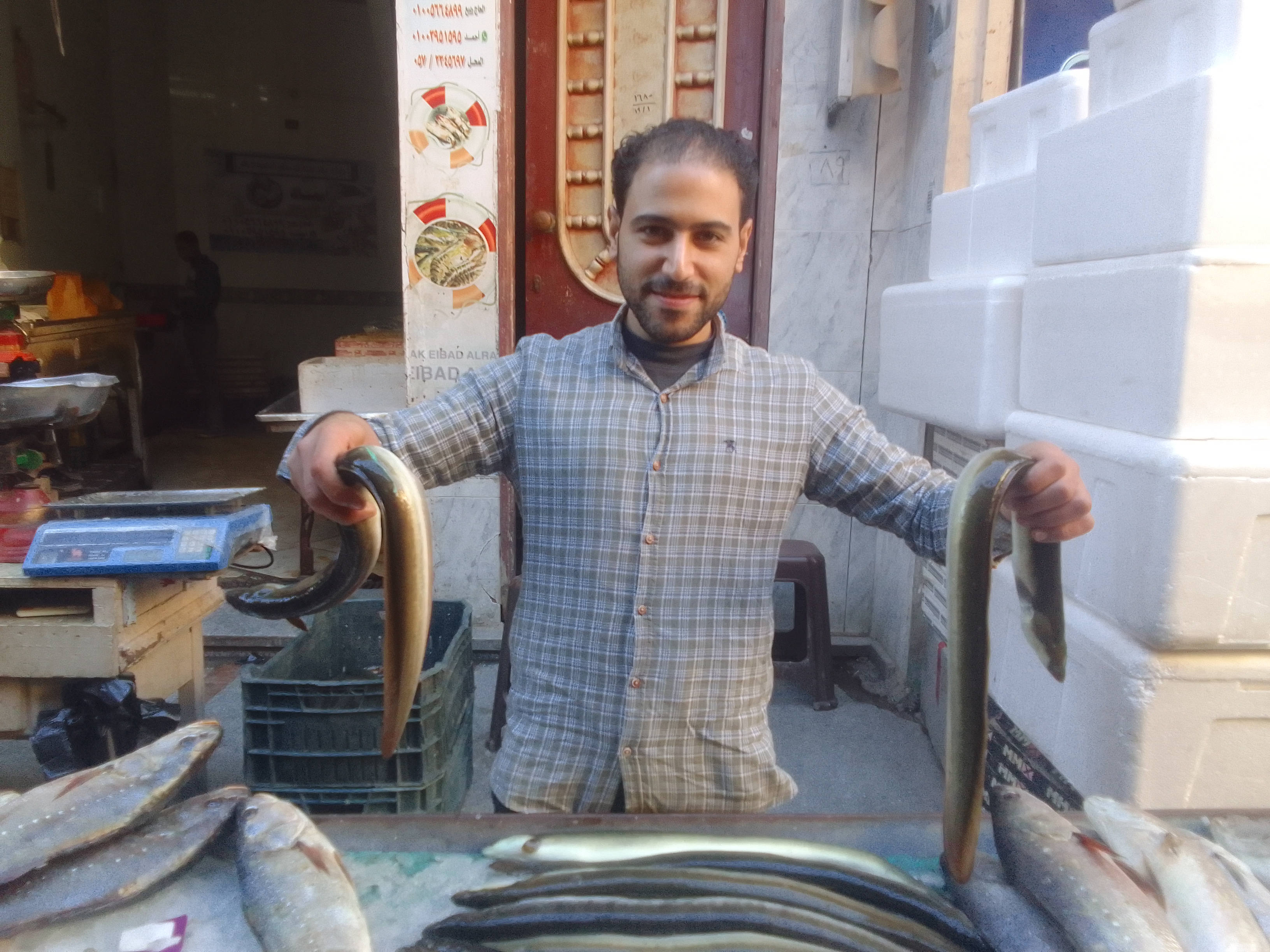 جانب من الأسماك الموجودة فى السوق (1)